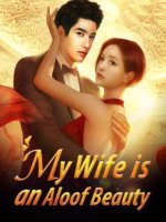 My Wife is an Aloof Beauty Novel PDF Free Download/Read Online